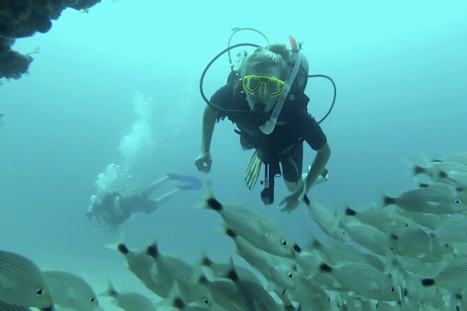 Marietas Islands National Park Excursion for Certified Divers - Key Points