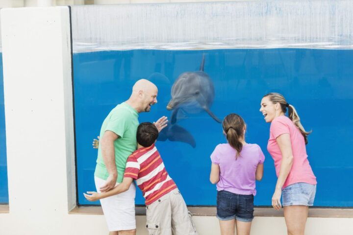 Marineland Dolphin Adventure, St. Augustine, Florida - Book Tickets & Tours - Key Points