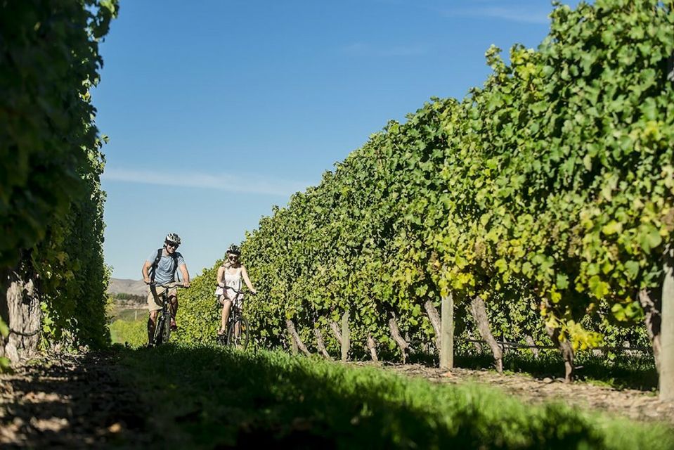 Marlborough: Private Winery Tour by Bicycle - Key Points