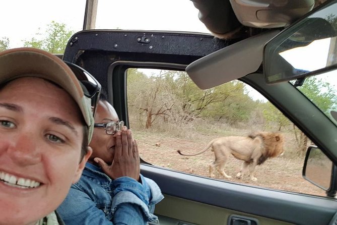 marloth park small group full day kruger safari mpumalanga Marloth Park Small-Group Full-Day Kruger Safari - Mpumalanga