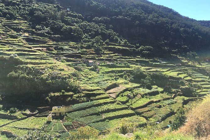 Maroços - Mimosa Valley Walk