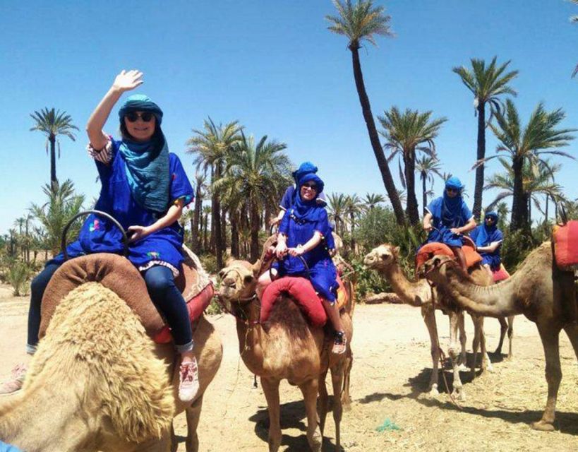 Marrakech: Camel Ride in the Palmeraie - Key Points
