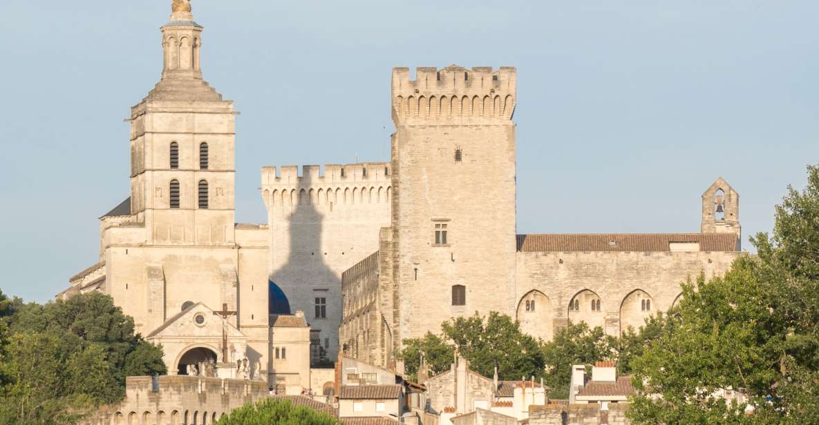 Marseille: Cruise Ship Excursion to Avignon & Pope's Palace - Key Points