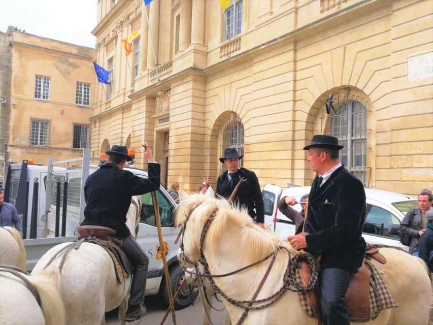 Marseille: The Camargue 8-Hour Guided Outing - Key Points