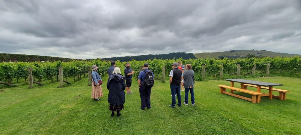 Martinborough Winery and South Wairarapa Wild Coast Tour - Key Points