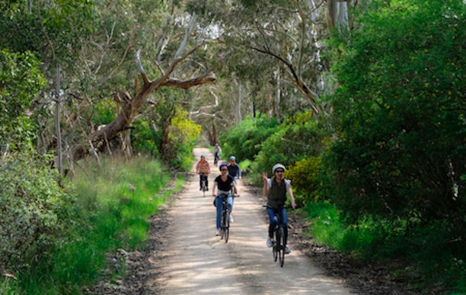 McLaren Vale: E-Bike Rental to Explore the Vineyards - Key Points