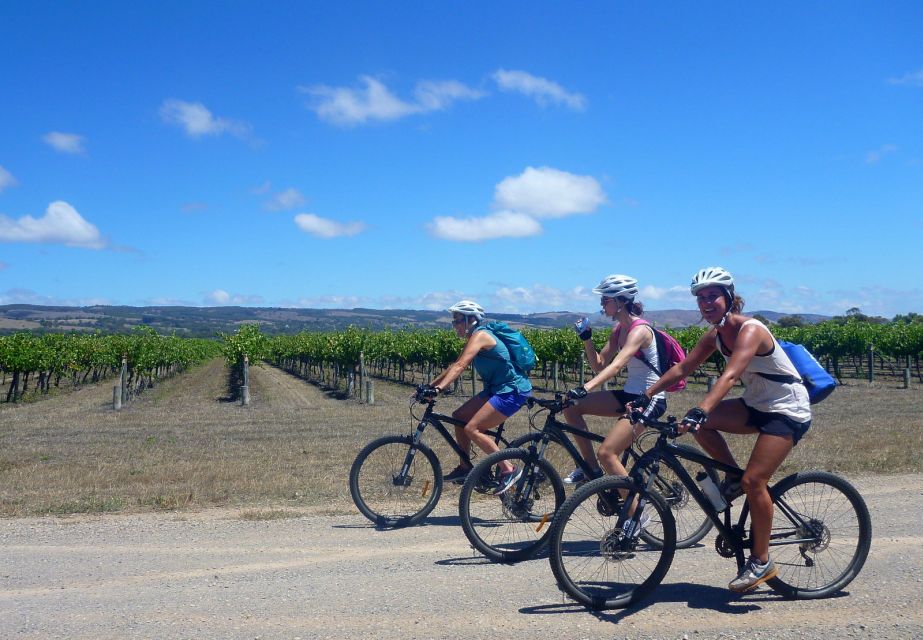 Mclaren Vale Hills Vines and Wines Bike Tour From Adelaide - Key Points