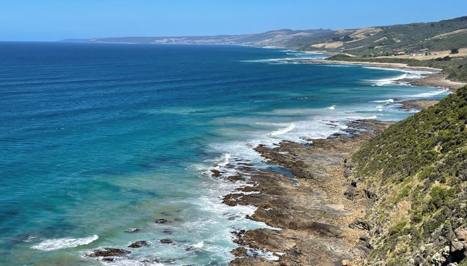 Melbourne: Great Ocean Road Day Trip With Rainforest Visit - Key Points