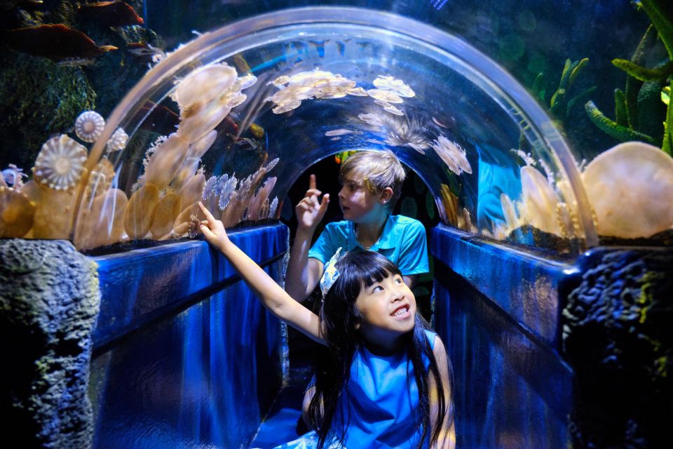 Melbourne: SEA LIFE Aquarium Entrance Ticket - Key Points