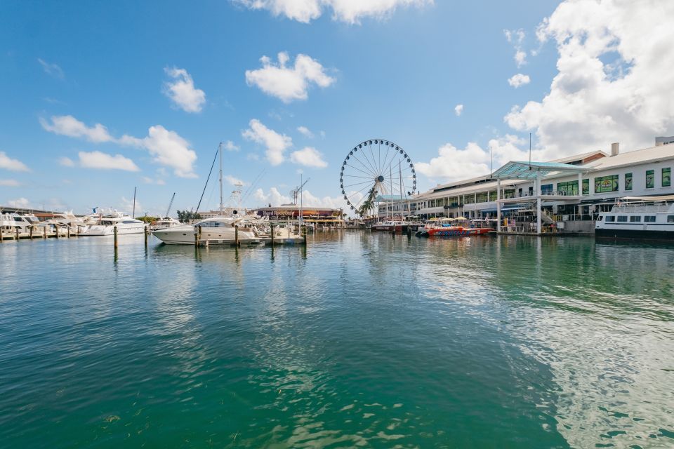 Miami Combo: Open-top Bus Tour & Millionaires Row Bay Cruise - Key Points