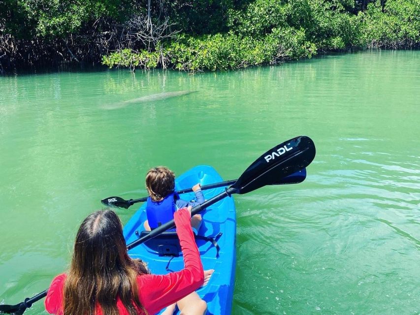 Miami: Paddle Board or Kayak Rental in Virginia Key - Key Points