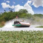 miami wild everglades airboat ride and gator encounters Miami: Wild Everglades Airboat Ride and Gator Encounters