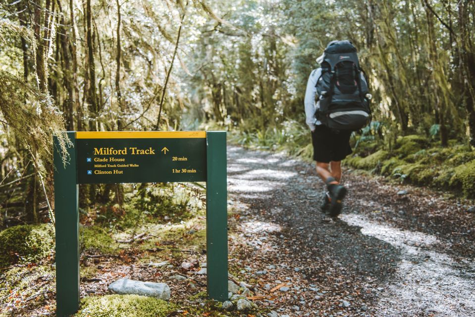 milford day walk milford track day walk from lake te anau Milford Day Walk Milford Track Day Walk From Lake Te Anau