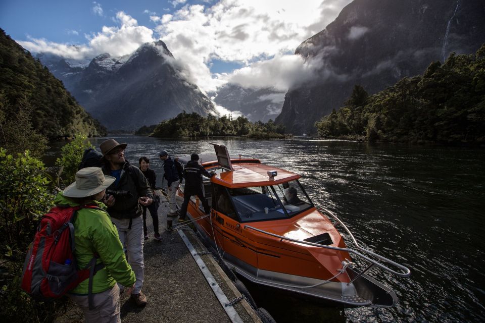 milford sound half day guided milford track walk Milford Sound: Half-Day Guided Milford Track Walk