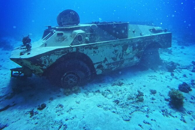 Military Museum Diving Experience in the Red Sea - Key Points