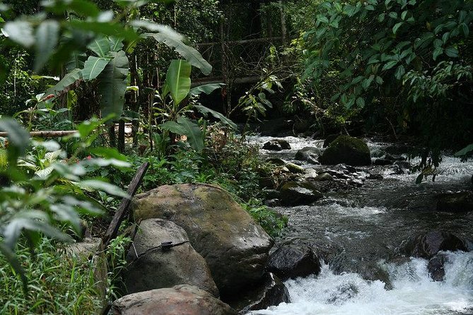 mindo cloud forest adventure tour Mindo Cloud Forest & Adventure Tour