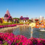 miracle garden dubai tickets with transfers option Miracle Garden Dubai Tickets With Transfers Option