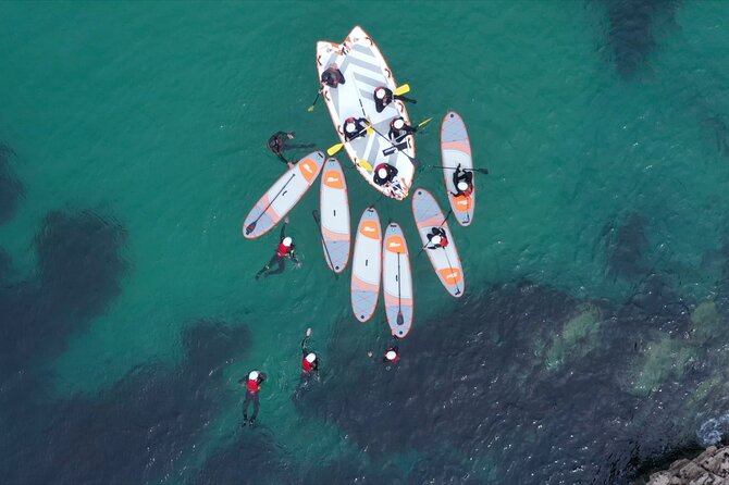 monster sup tour in newquay Monster SUP & Tour in Newquay