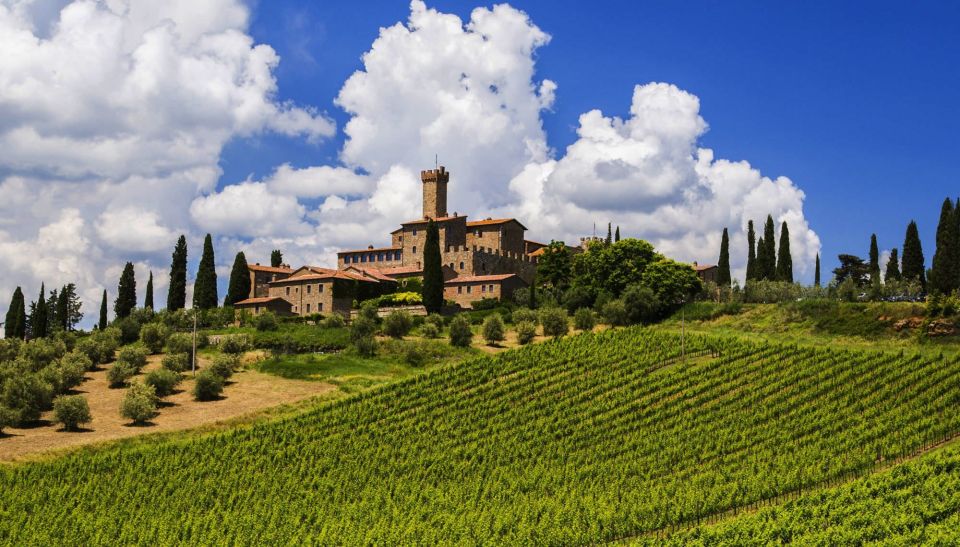 Montalcino Truffle and Wine Tasting Day Tour From Rome - Key Points