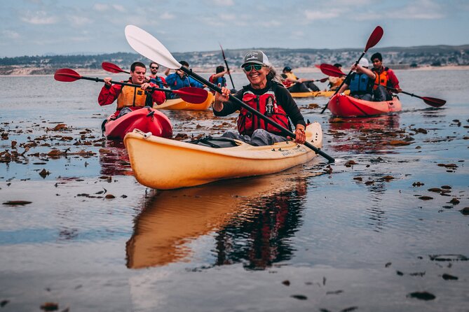 Monterey Bay Full-Day Kayak Rental: Otters, Seals and Sea Lions - Key Points