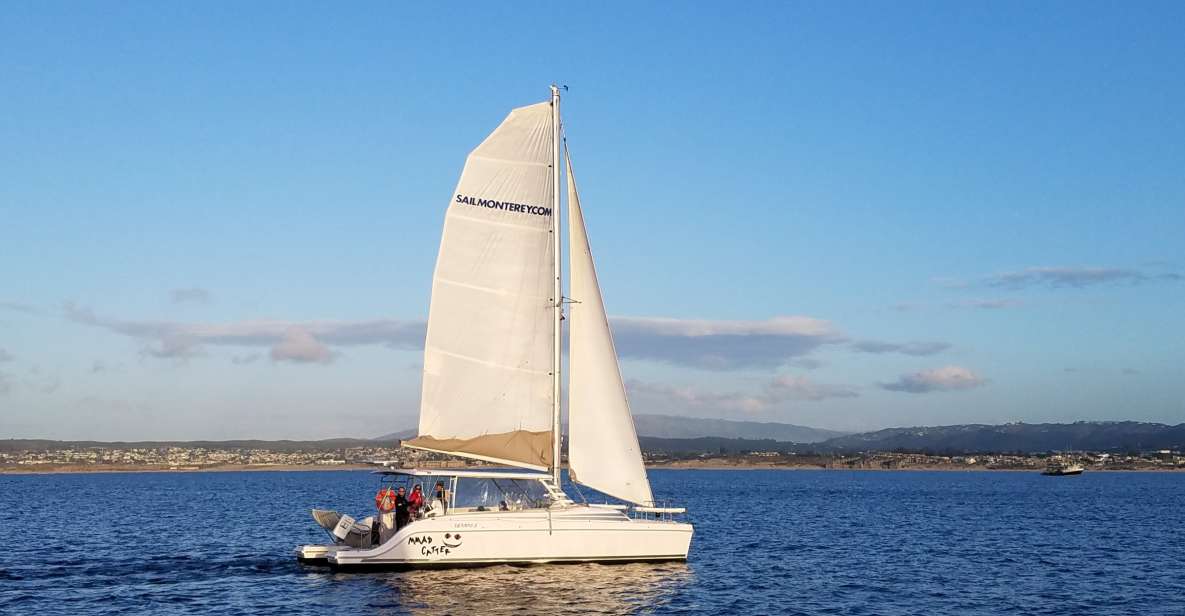Monterey: Catamaran Sailing Cruise - Key Points