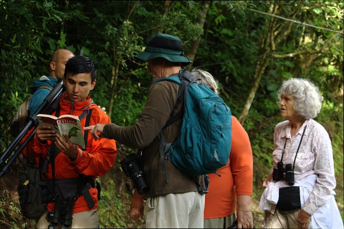 Monteverde Cloud Forest Tour With a Certified Tour Guide - Key Points