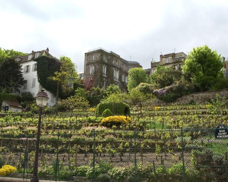 Montmartre : The Wine Maker's Rally - Key Points