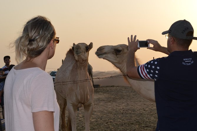 Morning Camel Trekking Dubai Tours for 2 to 14 People - Key Points