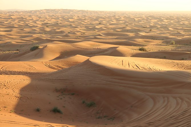 Morning Desert Safari on Red Dunes With Sand Boarding & Optional Quad Biking - Key Points