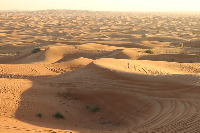 morning desert safari on red dunes with sand boarding optional quad biking Morning Desert Safari on Red Dunes With Sand Boarding & Optional Quad Biking