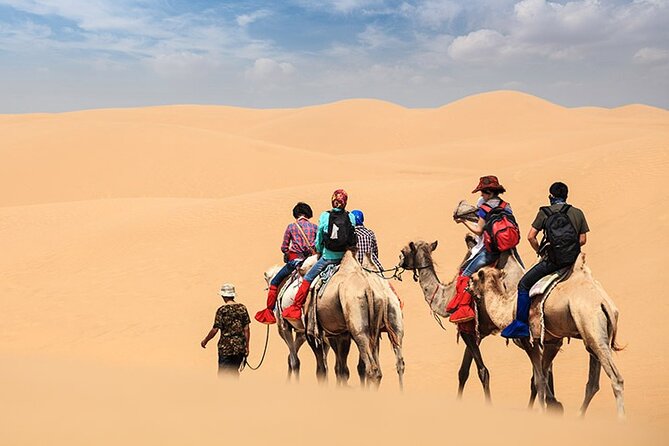 Morning Desert Safari With Camel Ride - Key Points