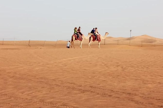 Morning Desert Safari With Quad Biking, Camel Riding and Dune Bashing - Key Points