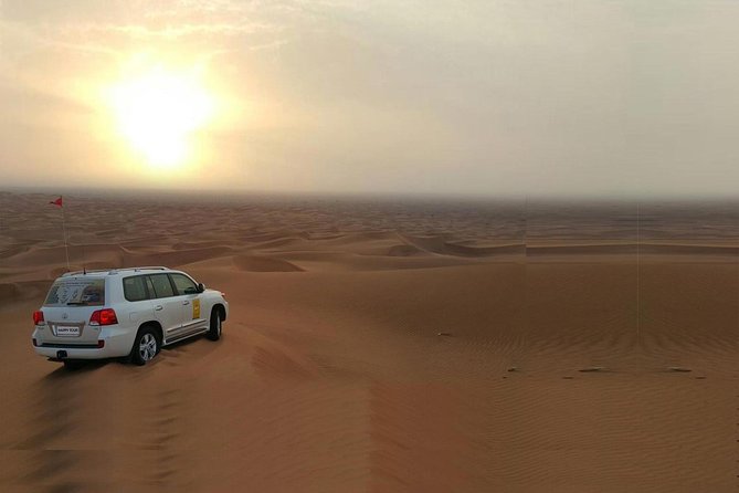 Morning Dune Bashing With Sand Boarding And Camel Ride in Red Dunes Desert - Key Points