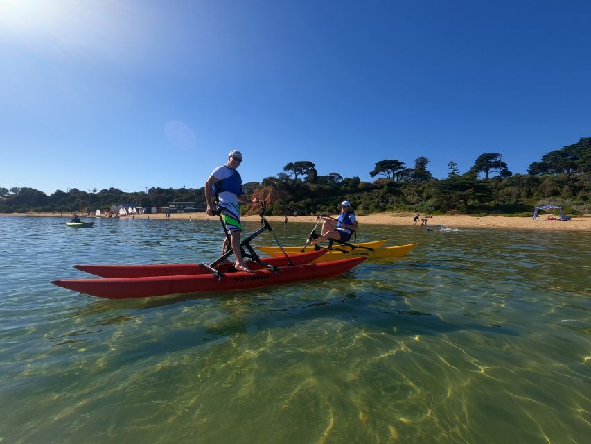 Mornington: Port Phillip Bay Water Bike Tour - Key Points