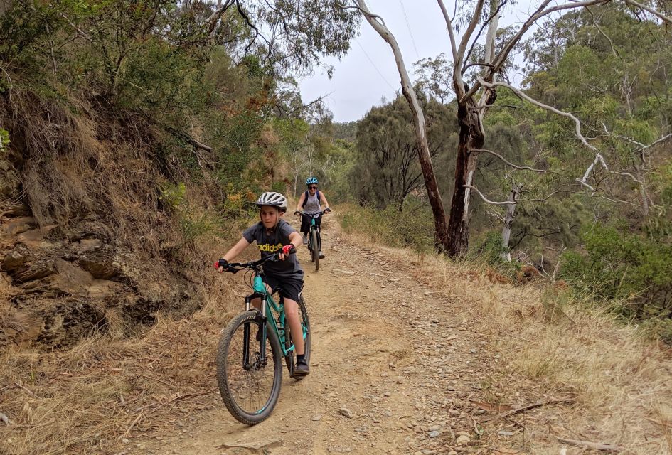 Mount Lofty Downhill Bike Tour & Cleland Wildlife Park Visit - Key Points