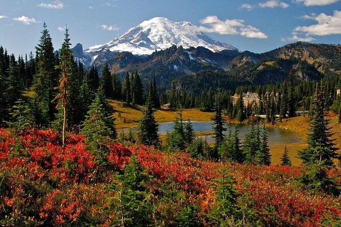 Mount Rainier National Park - Private Luxury Day Tour With Lunch - Key Points