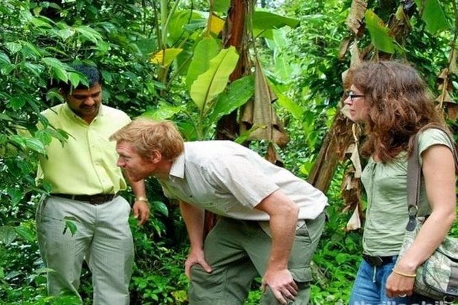 Munnar Tea Valley Tour ( by Munnar Info) - Key Points