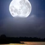 murrells inlet beneath the moonlight Murrells Inlet Beneath the Moonlight