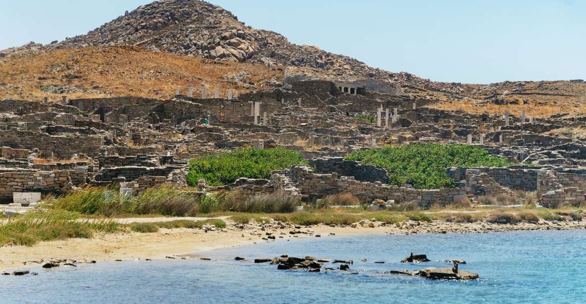 Mykonos Town: Archaeological Site of Delos Guided Day Trip - Tour Details