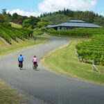 napier cape coast winery tour on pedal or e bikes Napier: Cape Coast Winery Tour on Pedal or E-Bikes