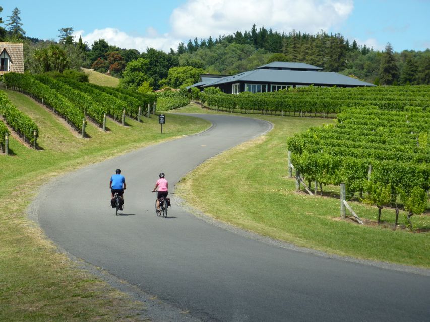 Napier: Cape Coast Winery Tour on Pedal or E-Bikes - Key Points