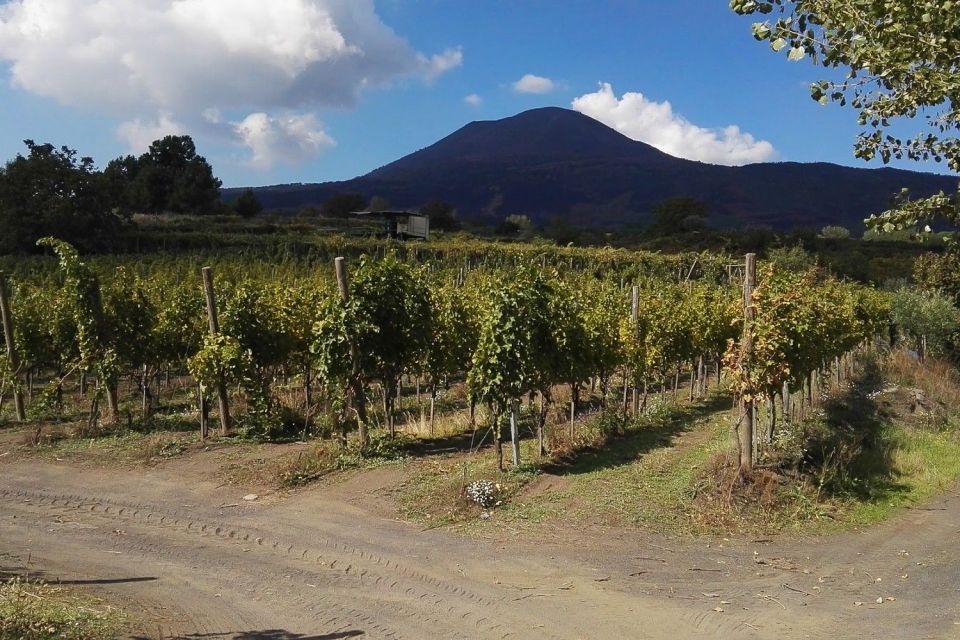 naples pompeii private guided hiking tour Naples: Pompeii Private Guided Hiking Tour