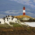 national park with train and navigation beagle channel full day tour National Park With Train and Navigation Beagle Channel Full Day Tour