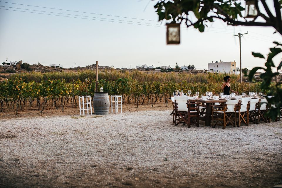 Naxos: Full Moon Dinner and Wine Tasting in a Vineyard - Key Points