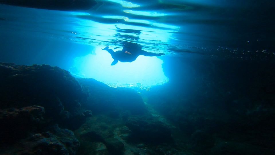 Nea Makri: Marathon Cape & Bay of Schinias Snorkeling Trip - Activity Details