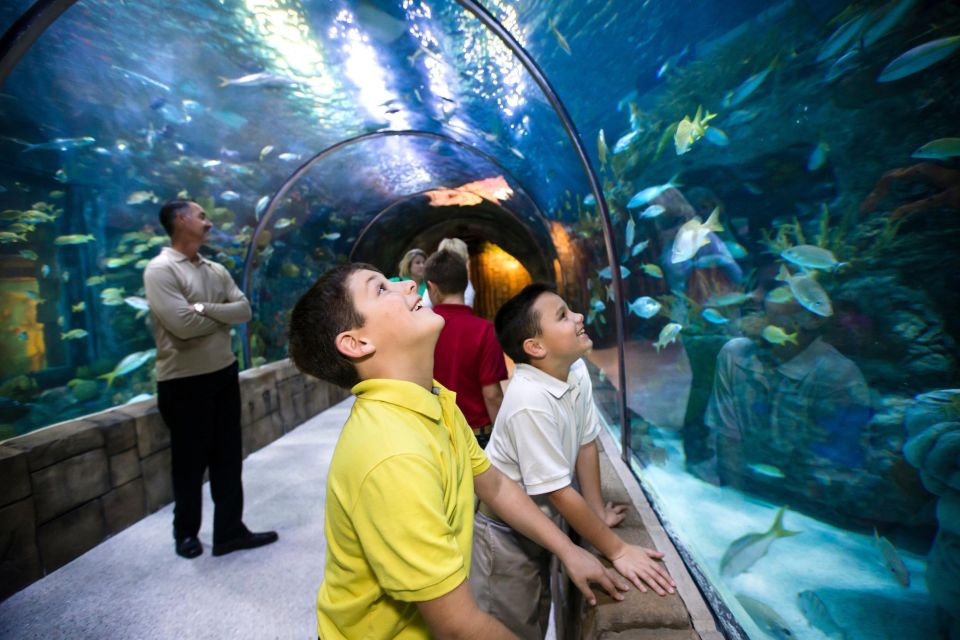 New Orleans: Audubon Aquarium Ticket & Optional Combinations - Key Points