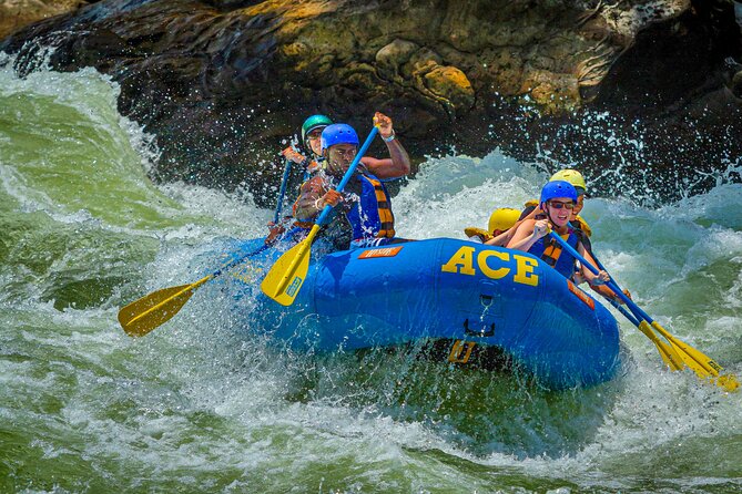 New River Gorge Whitewater Rafting, WV - Lower New Full Day - Key Points