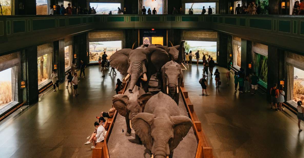 New York City: American Museum of Natural History Ticket - Key Points