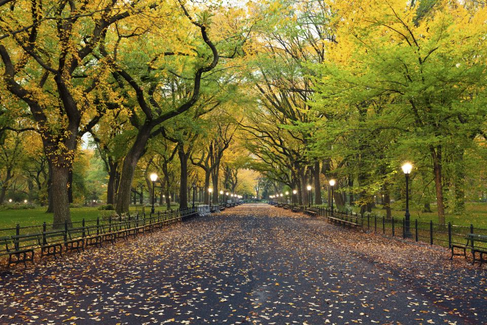 New York City: Central Park Self-Guided Walking Tour - Key Points