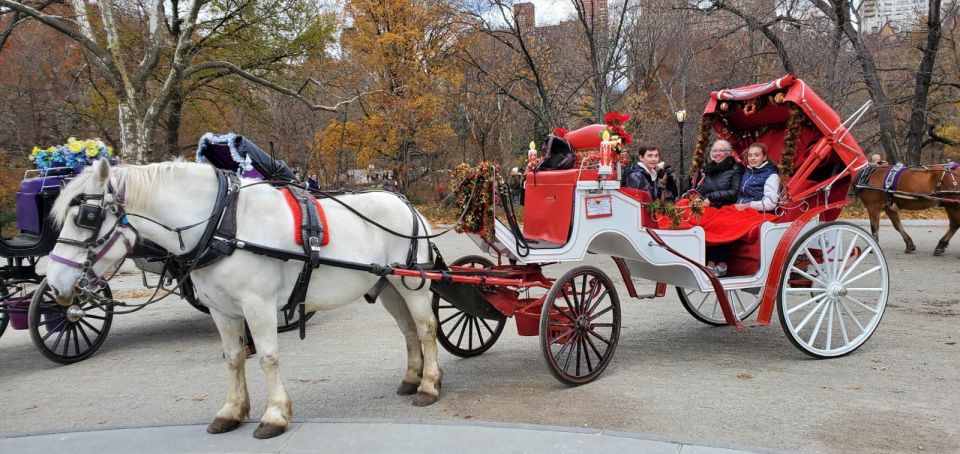 New York City: Private Horse Carriage Tour - Key Points